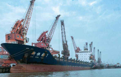 申報進(jìn)出口貨物符合標(biāo)準(zhǔn)并配合海關(guān)檢查是一項(xiàng)義務(wù)