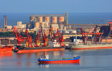 貨代需盡快辦理NVOCC資質(zhì)手續(xù)，否則后果自行承擔(dān)