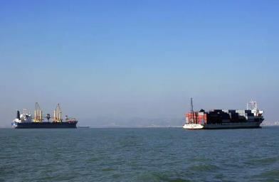 寧波國際貨代的主要職責是什么？