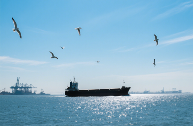 上海貨運代理公司：服裝進口的 “通關(guān)密鑰” 與 “物流導(dǎo)師”