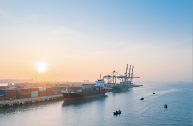 服裝進(jìn)口有高招，國(guó)際海運(yùn)貨代來(lái)助力