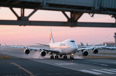 上海國際貨代：全球供應鏈樞紐的數(shù)字化轉型與生態(tài)重構